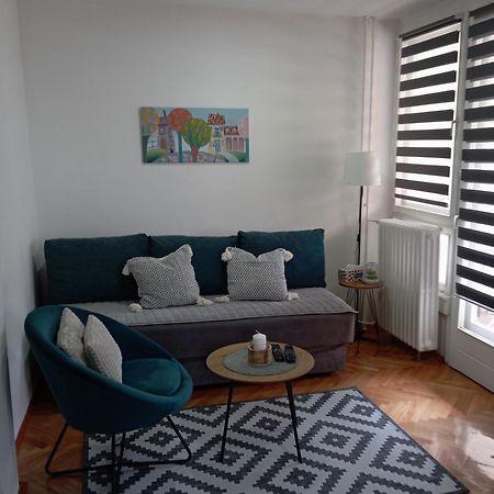 Apartament Apartman Kosta Leskovac  Zewnętrze zdjęcie